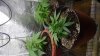 20160515_112509.jpg