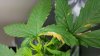 20160515_101606.jpg