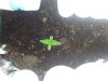 20160521_232057.jpg