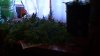 DSCF0010.JPG