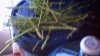DSCF0016.JPG