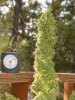 DSC00002.jpg