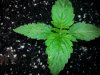 20160526_210841.jpg