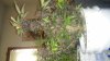 20160514_180959_noexif.jpg