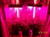 day35e.JPG