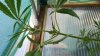20160605_182135.jpg