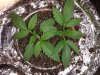 20160609_092355.jpg