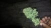 20160610_205428.jpg