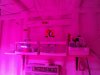 DSC01160.JPG