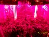 day46f.JPG