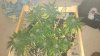 IMG_20160612_221638.jpg