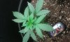 20160613_140535.jpg