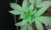 20160613_140531.jpg