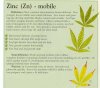 zinc-info-marijuana.jpg
