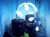 100_3766.jpg