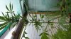 20160619_122007.jpg 20160619_122007.jpg