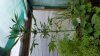 20160619_122021.jpg 20160619_122021.jpg