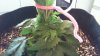 WIN_20160602_18_16_32_Pro.jpg