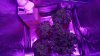 WP_20160625_11_19_37_Pro.jpg