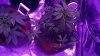 WP_20160625_12_28_17_Rich.jpg