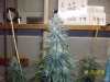 day59g.JPG