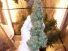 harvest1b.JPG