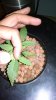 IMG_20160701_105747004.jpg