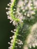 IMG_3825.jpg