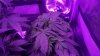 WP_20160702_12_17_26_Rich.jpg