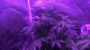 WP_20160702_12_16_59_Rich.jpg