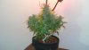 DSC03664.jpg