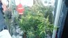 DSC03578.jpg