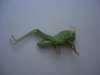 DSCN6133.jpg