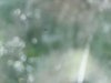 S20160708_0003.jpg