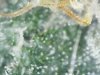 S20160708_0004.jpg