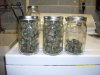 yield#3.JPG
