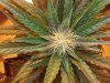 20160701_102709.jpg 20160701_102709.jpg