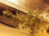 20160710_123910.jpg