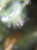 IMG_5752.jpg