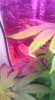 IMAG0591.jpg