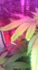 IMAG0592.jpg