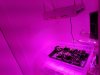 20160716_145020.jpg
