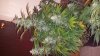 20160722_141801.jpg