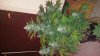 20160722_142720.jpg