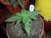 DSC01267.jpg