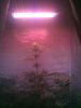 IMG_20120527_093022.jpg