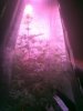 IMG_20120527_093034.jpg