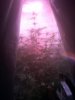 IMG_20120527_093226.jpg