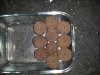 IMG_20160725_134713.jpg