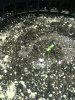 20160727_143352.jpg